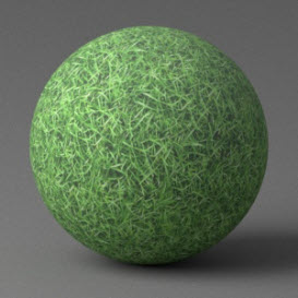 Grass - Green/Medium 1