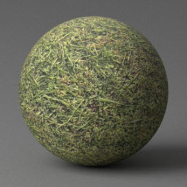 Grass - Green/Medium 3