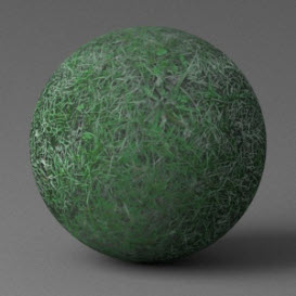 Grass - Green/Medium 2